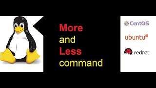 How to use More and Less command in Linux [upl. by Nirroc922]