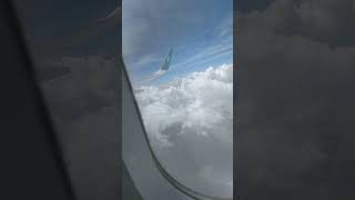 quotThe View from 30000 Feet 🛫 FlyingHigh shorts shortvideo shortsyoutube reels [upl. by Richmond]