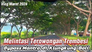 Terowongan Trembesi Barisan Pohon Rindang di Jalan Raya Bypass Mantra di Bagian Klungkung Bali [upl. by Elleinad]