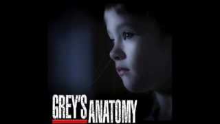 Greys Anatomy Score Music  Dutch Braid [upl. by Ayram]