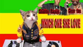 Shabba Ranks ft coco tea  which one she love [upl. by Auqinat897]