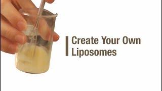 Create your own liposomes [upl. by Weeks]