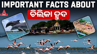 Chilika Lake Odisha  Important Facts About Chilika Lake In Puri [upl. by Nnahs821]