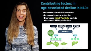 NAD in Aging Role of Nicotinamide Riboside and Nicotinamide Mononucleotide [upl. by Emelia]