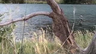 Deschutes River Steelhead AdventureMacks to Mouth 2010 [upl. by Jaqitsch853]