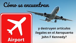 Cómo se encuentran y destruyen artículos ilegales en el Aeropuerto John F Kennedy [upl. by Yriek695]