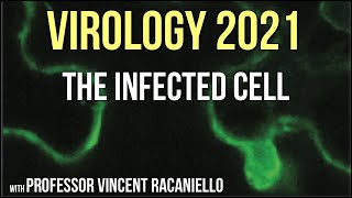 Virology Lectures 2021 11  The Infected Cell [upl. by Eimmac]