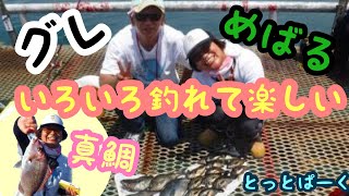 【とっとパーク小島】真鯛、グレ、メバルいろんな魚種が釣れて楽しい釣り場とっとパーク小島 [upl. by Manuel355]