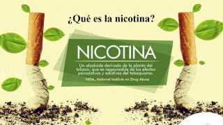 ¿Qué es la Nicotina [upl. by Ocsisnarf]