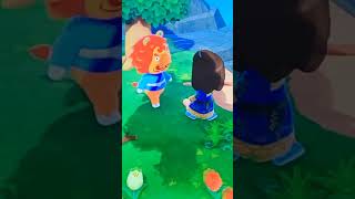 Villager hunting ACNH gone wrong animalcrossing animalcrossingnewhorizons shorts acnh [upl. by Tallula]