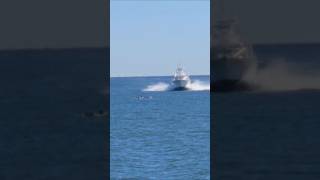 Dolphins Come Very Close To The Bow Of This Yacht [upl. by Bellaude]