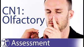 Cranial Nerve 1  Olfactory Nerve Assessment for Physiotherapists [upl. by Notseh]