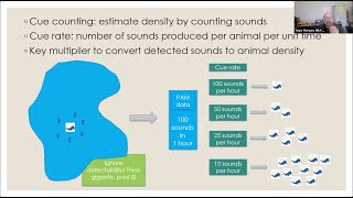 BioacousTalks Animal Density from Passive Acoustic Recordings with Tiago Marques [upl. by Renita]