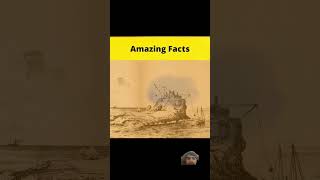 top amazing facts shorts viral facts [upl. by Yrrem]