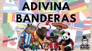 Adivina todas las banderas quiz [upl. by Anerb]