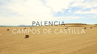 Drone Wheat field Campos de Castilla Palencia Spain DJI Phantom 3 Pro [upl. by Witkin]