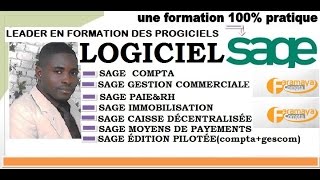 SAGE 100 IMMOBILISATION CRÉATION AUTOMATIQUE DES IMMOBILISATIONS [upl. by Gregg]