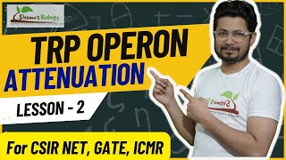 Tryptophan operon attenuation  Trp operon attenuation explained  Regulation of Trp operon [upl. by Ielerol]