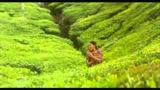 Margazhi poove May Madham tamil melody song [upl. by Nej]