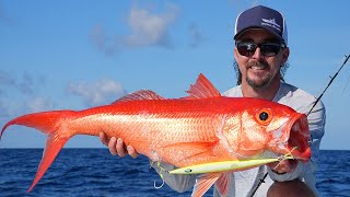 FIRST DROP Slow Pitch Jigging Deep Water Queen Snapper CatchCleanCook [upl. by Eerrehs784]