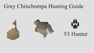 OSRS  Grey Chinchompa Hunting Guide  Quick guide [upl. by Eeladnerb]