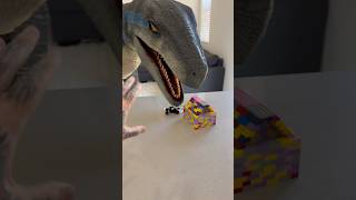 Raptor Tries Destroying LEGO Doghouse 🦖🏠 [upl. by Lehcear945]