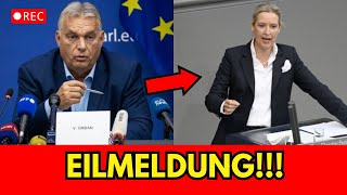 Viktor Orbans schockierende Aussagen über Alice Weidel – Eine überraschende Wendung [upl. by Benco]