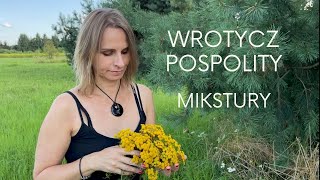 Wrotycz pospolity Tanacetum vulgare  przepisy na mikstury zdrowotne Kociołka Wiedźmy [upl. by Mathian]