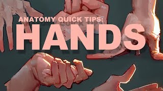 Anatomy Quick Tips Hands [upl. by Toni]