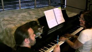 PIANO LESSON with adult beginner age 66  featuring Charlie the Cat [upl. by Anieral]