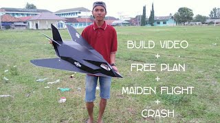 make rc plane F117 STEALTH DEPRON Build Video [upl. by Gytle]