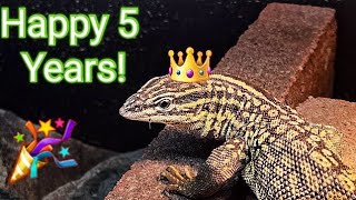 Happy 5th Birthday ThunderAckie Monitor [upl. by Verda518]