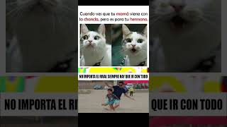 Memes Chistososmemes memeschistosos viralshort shorts gracioso xd humor [upl. by Annoj441]