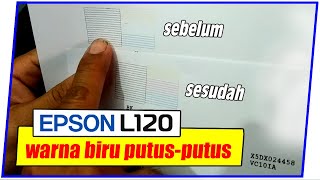 Cara Mengatasi Printer Epson L120 Hasil Print PutusPutus [upl. by Sophie]