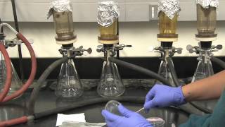 Coliform Bacteria Analysis [upl. by Midis765]