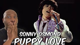 First Time Hearing  Donny Osmond  Puppy Love Reaction [upl. by Anirdna725]