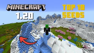 TOP 25 BEST NEW SEEDS For BUILDING In MINECRAFT 121 Bedrock amp Java [upl. by Atilamrac]