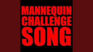 Mannequin Challenge Song [upl. by Ellesig]