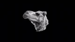 TRAP BEAT 69  Freestyle Beat Instrumental  21DaysOfCamel Beats [upl. by Giusto530]