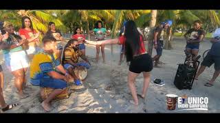 Ritmo punta asi bailamos en Honduras cultura Garifuna Desde las playas de Tela [upl. by Fabrin490]