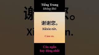 Câu Tiếng Trung ngắn hay dùng p1 DatvietABC shorts [upl. by Akeemat2]