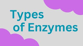 Types of Enzymes Isozyme Lysozyme Zymogens autocatalysis [upl. by Odraccir]