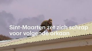 SintMaarten zet zich schrap voor volgende orkaan  RTL NIEUWS [upl. by Haughay836]