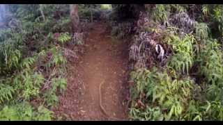 Kalepa Ridge Trail Hike overlooking Kalalau Valley Kauai Hawaii [upl. by Tiossem361]