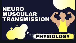 Neuromuscular transmission Revision [upl. by Chura]