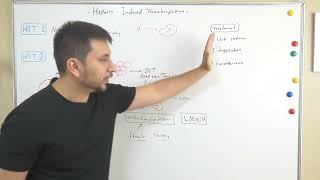 Heparin induced thrombocytopenia HIT [upl. by Cord]