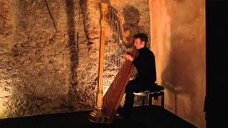 Franz Liszt  Hungarian Rhapsodie No2  Sylvain Blassel harp [upl. by Ilamad853]