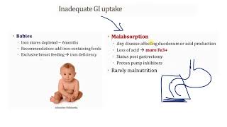 2 Microcytic Anemia صغيرة على حب الهيموجلوبين [upl. by Irehj]