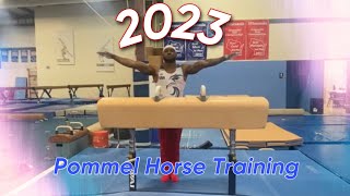 2023 Pommel Horse Training [upl. by Ettereve]