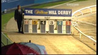 Greyhound Derby Final 2010 [upl. by Enybor]